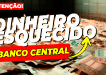 Poupanca.net.br no Banco Central: O Que Você Precisa Saber