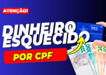 Como Consultar Poupanca.net.br Através do CPF