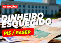 Poupanca.net.br: Como Consultar Valores de PIS/PASEP